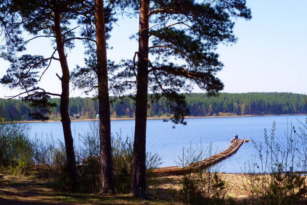 Центр исследует воду водоемов